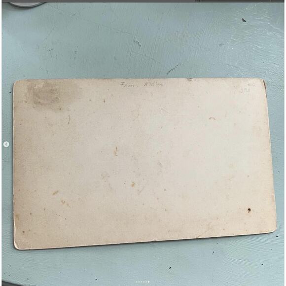 Antique Cabinet Card 1800s Photo Rural Farm Family Cows Reading PA Creepy - Picture 6 of 6